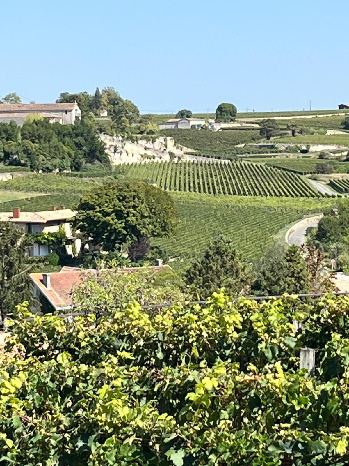 Les Logis Des Vignobles Saint Emilion En Duplex N 2 Avec Terrasse Apartment Екстериор снимка